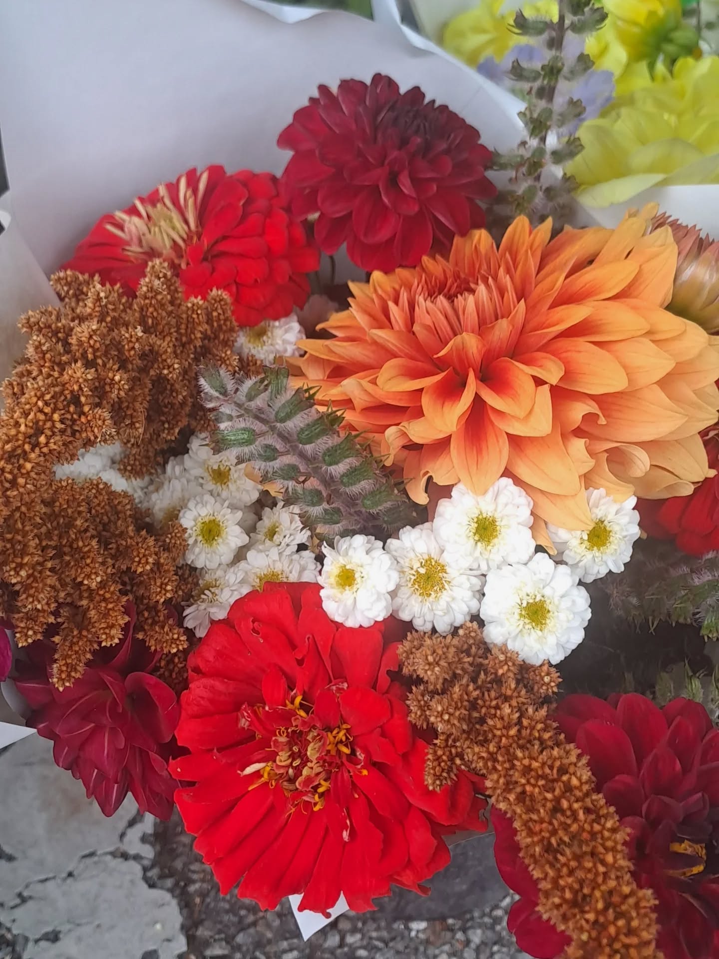 562696981_17969968280953477_5002526478351446000_n