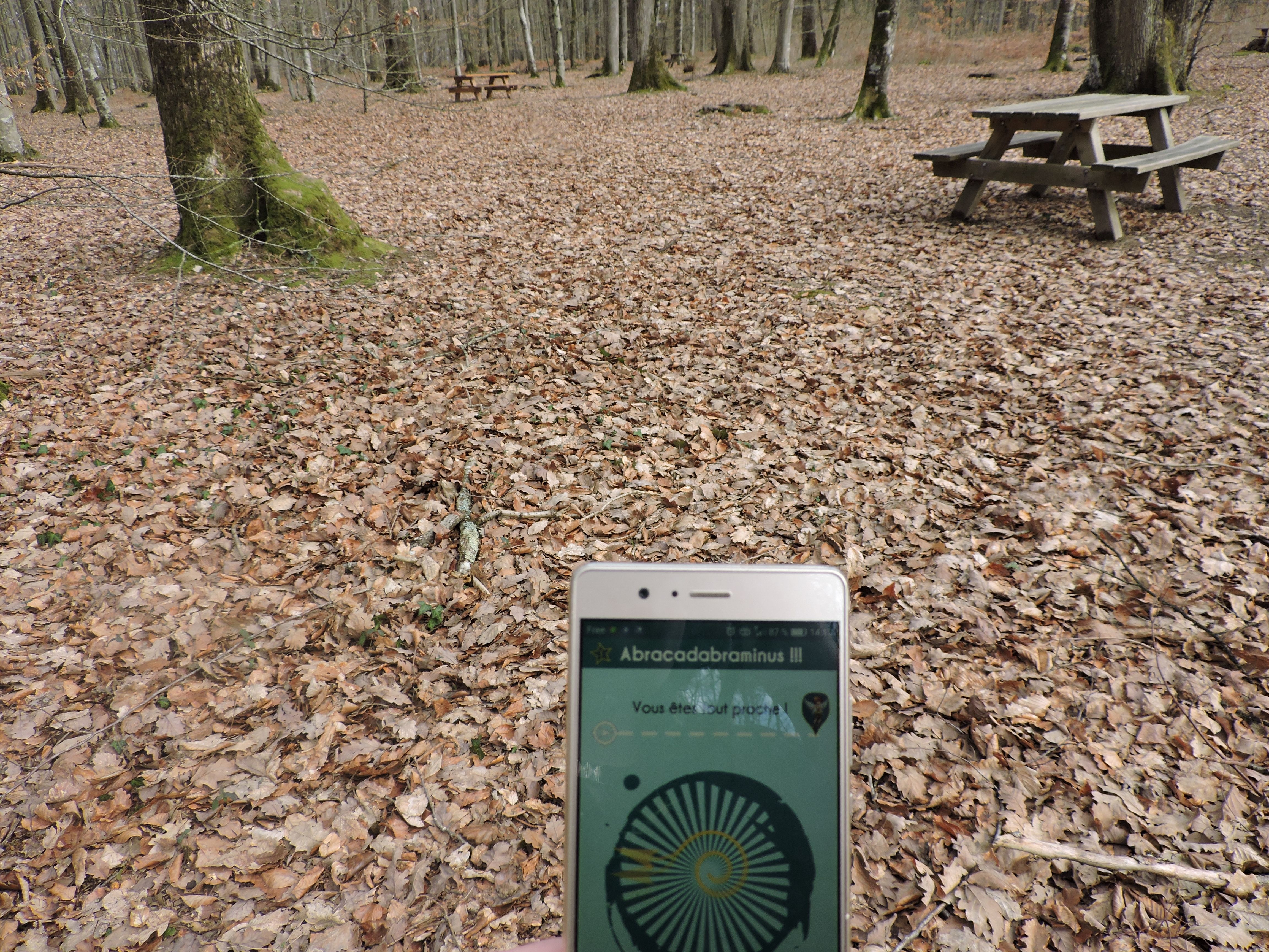 Sentier ludique Sur la Piste de Merveille