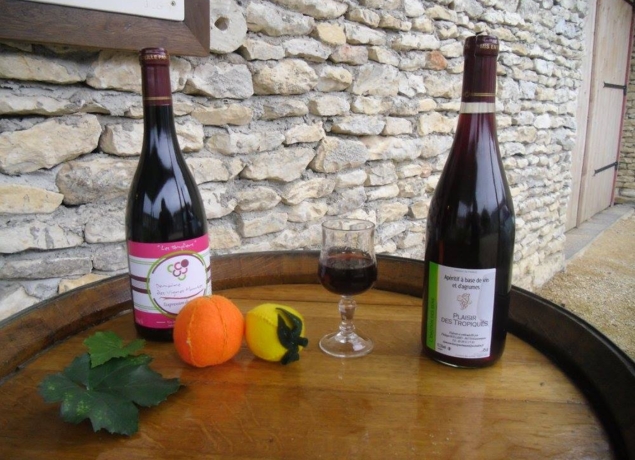 Domaine des Vignes Hautes