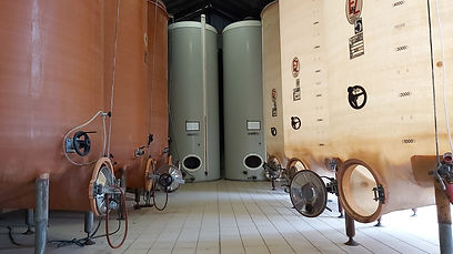 Domaine du Chêne Allaire1