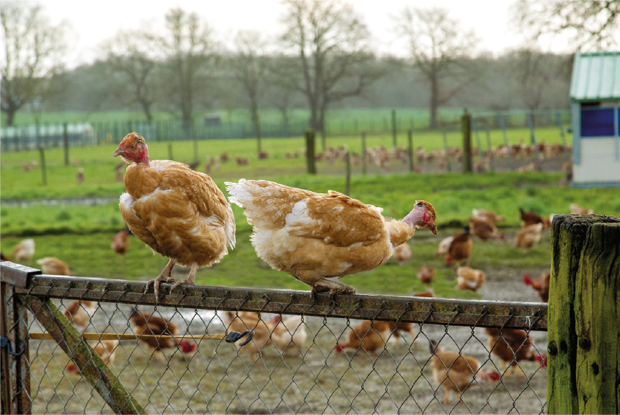 Lavausseau site Accueil 1