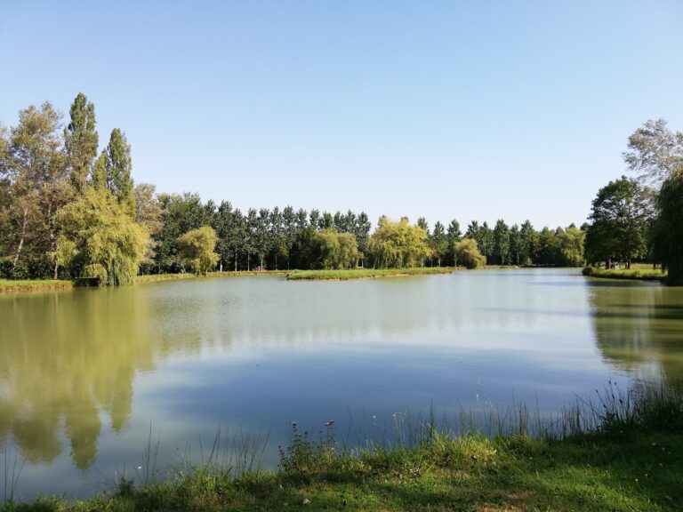 Les près de la chapelle