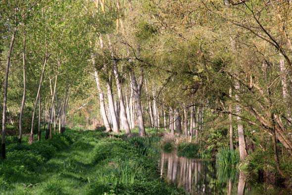 Sentier des côteaux_1