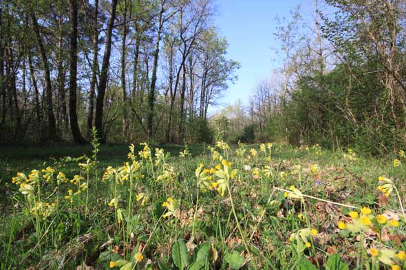 Sentier des côteaux_2