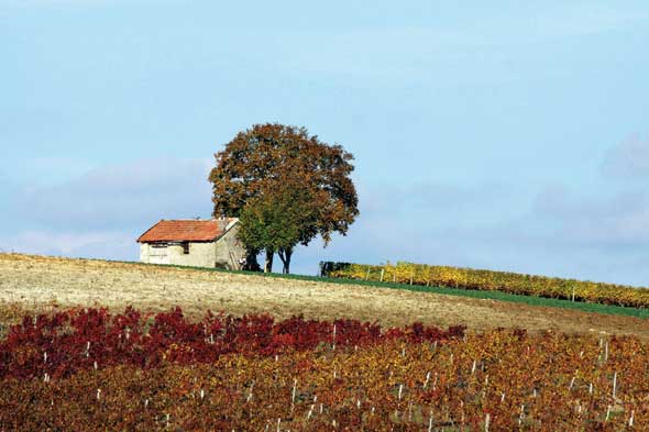 Sentier des côteaux_3
